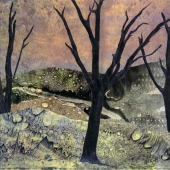 Paula Weech - “Nonchalant Harmony” – pjweech@cox.net