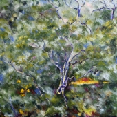 Jan Raats - “Forest” – http://www.janraats.com/