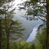 Stephanie Aguilar - “West Virginia River” – https://outsidethecubicleart.pixels.com/