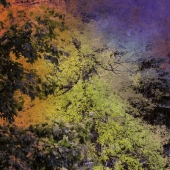 Lillianne Daigle - “Fall Colors” – elleday@bell.net