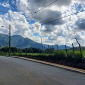 Angie St Louis - “Cumulus Mystica” – https://gnastudios.wixsite.com/gnastudios