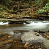 Theresa Scott - “Tom Branch Falls Walk” – http://tmscott.net/