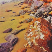 Tracey Lee Cassin - “Beach Soliders” – https://traceyleecassin.com/