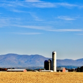 Dilian Deal - “Harvest” – http://www.diliansart.com/