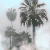 Alex Nodopaka - “Fog” – alexnodopaka2@gmail.com