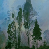 Mary F. Wicks - “Aurora Fading” – http://www.creekdigitalphotography.com/