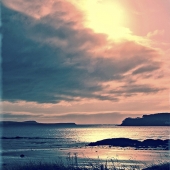 Alicia Beesley - “Ross Bay Landscape” – https://aliciabeesley.foliopic.com/