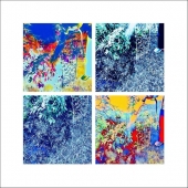 Sylvia Bandyke - “Last Watering of the Day” – https://facebook.com/bandykephotocollage