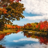 Gary R Hook - “Autumn's Arrival” – http://garyrhook.com/