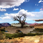 Laura Heidotten - “Collected Memory 5” – http://www.seriesofactions.com/