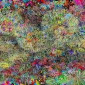 Paris Tremayne - “Unbridled Exultation” – http://www.paristremayne.com/