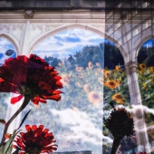 Larissa Boni - “Floral Doorway” – larissa.m.boni@gmail.com