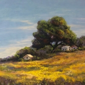 5th Place – Marina Smelik - “Spring Sunny Day” – www.marinasmelik.com