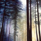 8th Place – Jacqueline Tribble - “Northwest Sunrise” – www.jacquelinetribble.com