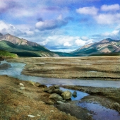 10th Place – Shelley Benjamin - “In the Valley” – www.shelleybenjamin.com