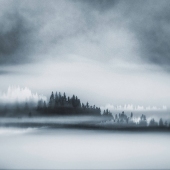 4th Place – Robbi Ling Montgomery - “Haunting Fog” – www.robbilingmontgomeryimages.com
