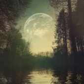 5th Place – Eleni Gemeni - “Dreaming of another World” – www.elenigemeni.com