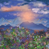 Hon. Mention - Frances Powers - “Starry Evening” – www.fpowers.weebly.com