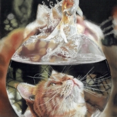 1st-Place-OA-127-POM.-Kaz-Turner-Rise-to-the-Bait-v