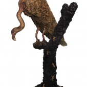 K R Nariman – “Death” - http://www.krnariman.com/