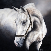 Helen Coulter – “The Grey Mare” – https://helencoulter.com.au/