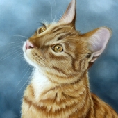 Susan Monty – “Tiger Dreams” – http://www.susanmonty.com/