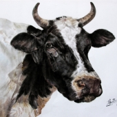 Sidong Zhao – “Bullish-cow” – zsd20210318@163.comBullish-cowb