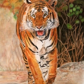 Kathy Christian – “Star” – https://www.facebook.com/kchristianart