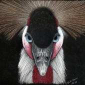 Krista Oremus – “Crowned Glory” – https://kristaoremus.com/