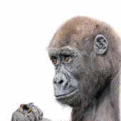 Katrin Snell - "In it together” – http://katrinsnellartist.co.uk/