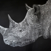 John Larsen – “Rhino” – http://johnlarsenart.com/