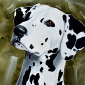 Ashley Hagin – “Dalmatian Portrait” – https://www.ashleyhaginsstudio.com/