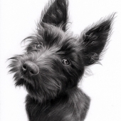 Sammy Butterfield - "Maud” – http://www.sammybutterfieldart.com/