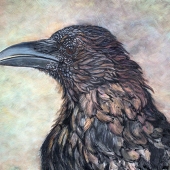 Megan Morgan - "Crow” – https://meganmorganfineartist.com/