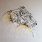 Lyn Bartolo - "Shadowland” – lynbart01@hotmail.com