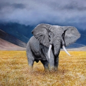 Ivan Jones - "In the Ngorongoro Crater” – http://www.ivanjonesart.co.uk/