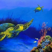 Zhufang Wang - "Sea Turtle” – allen.wang@govsacademy.org