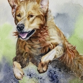 Cheryl Mattice - "Making a Splash” – https://www.facebook.com/cheryl.mattice