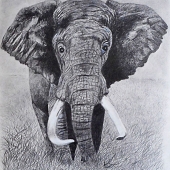 Kristi Richter – “Goliath” – keddywumpus@yahoo.com