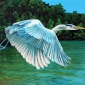 David Schuppert – “Blue Heron” – http://www.davidschuppertart.com/