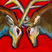 Ariel Beal – “Deer” – ariel.beal@artacademy.edu
