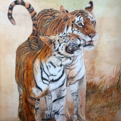 Kathy Christian – “Collarwali and Cub” – https://www.facebook.com/kchristianart