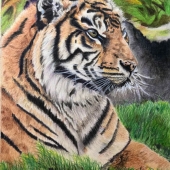 Deepti Mohile – “Tiger” – deepti.1224@gmail.com