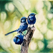 Helen Mitra – “The Blue Fairy Wrens” – https://www.helenmitra.com/