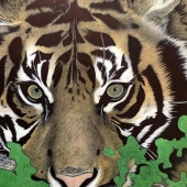 Mark Andreason - "Spring Fever” – http://baddkarma.net/