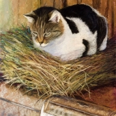 Tammy Cox - "Nesting Catbird” – http://tammycoxfineart.com/