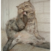 Dazhao Su - "Licking Cat” – 497626009@qq.com