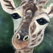 JineWen Liu - "Gaze” – Liujinewen@gmail.com