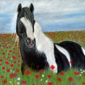 Avery Anderson - "Paint in Poppies” – http://www.averyandersonanimalart.com/