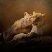 Nicole Wilde - "Sisterly Secrets” – http://www.photomagicalart.com/